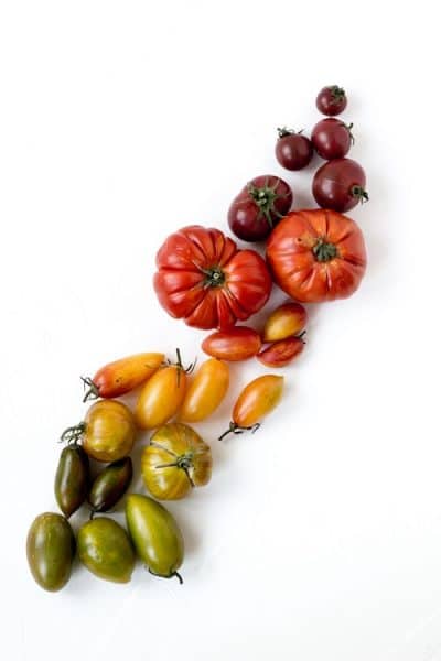 Varieties-Tomatoes