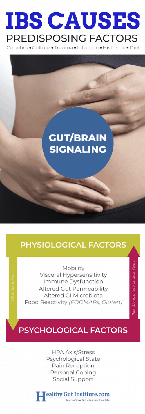 What Are the Worst Foods for IBS? 13 To Avoid (and Some to Eat More of ...