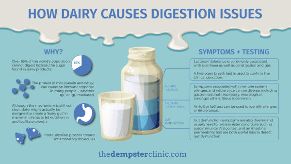 dairy information