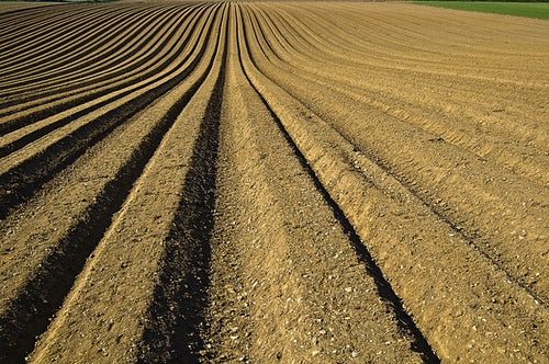 A plowed field with rows of dirt