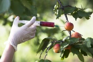 Fruit Tree GMO