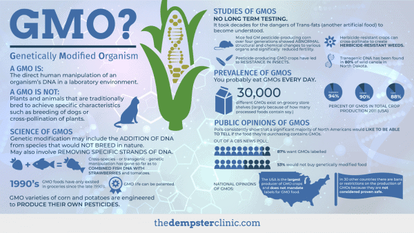 GMO Graphic