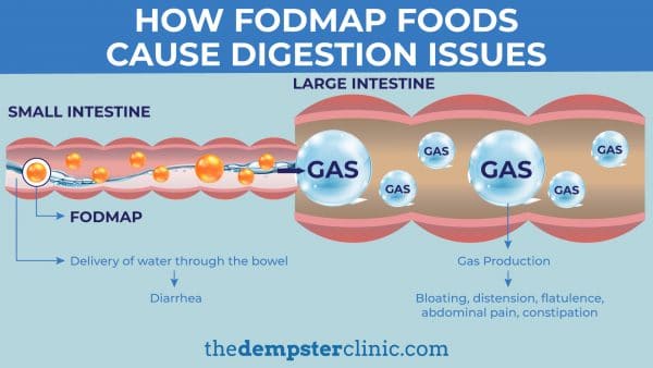 Fodmaps cause digestions issues