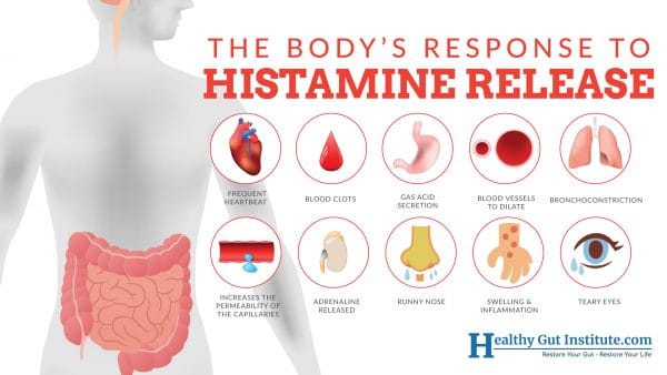 Histamine effect in body