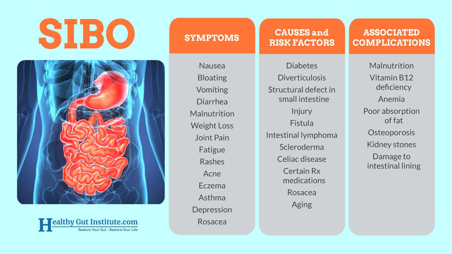 Is Sibo The Cause Of Your Gut Issues Top Ways To Tell