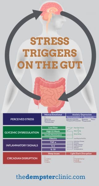 Stress Triggers on Gut 3
