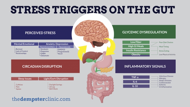 stress triggers on gut
