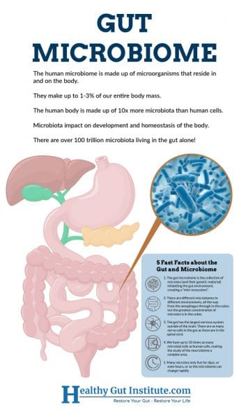 Irritable Bowel Syndrome – Suffer No More! - The Dempster Clinic