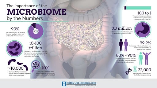 importance of the microbiome