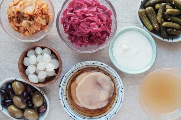 variety of fermented probiotic foods for gut health