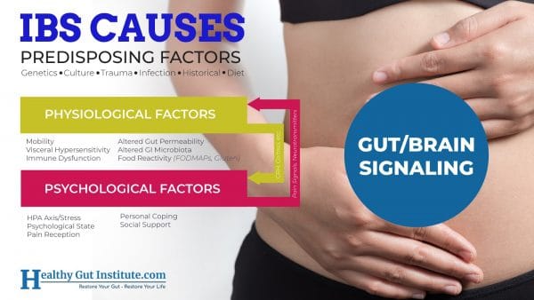 IBS Causes