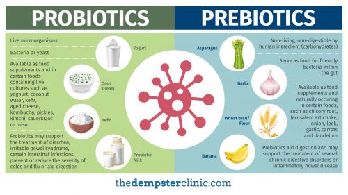 How Prebiotics And Probiotics Can Transform Your Health - The Dempster ...