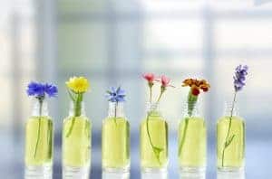 Different healing flowers in small glass bottles essential oil