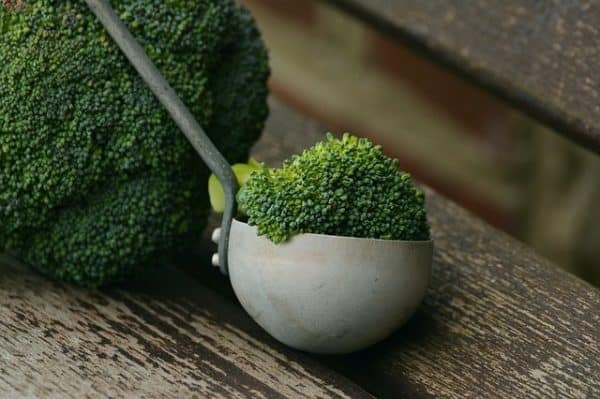 A spoon and a broccoli are sitting on a bench