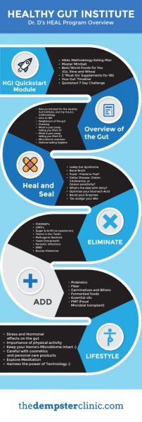 The healthy gut institute infographic