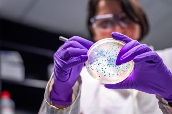 woman with petri dish of bacteria