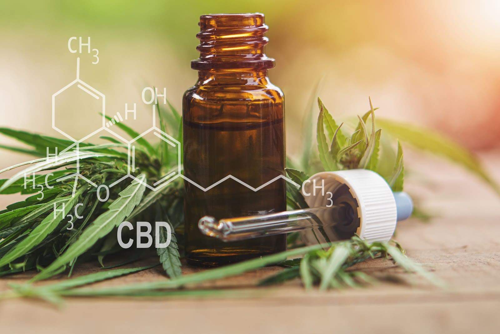 You are currently viewing What You Need To Know About CBD