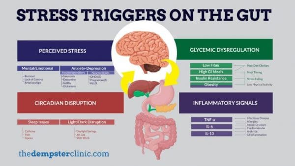 Stress Triggers on the Gut