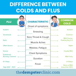 TOP 10 Natural Ways To Beat The Cold And Flu - The Dempster Clinic