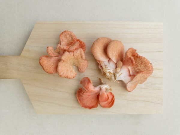Mushrooms on a cutting board