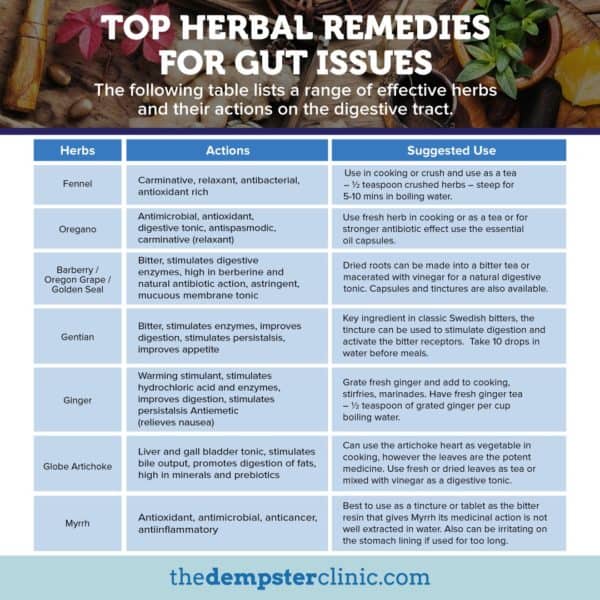 herbal remedies for gut health