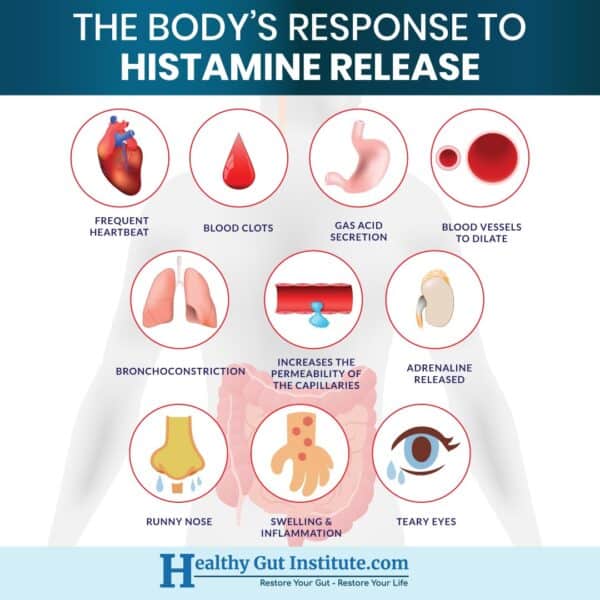 Histamine effects on the body