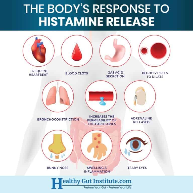 Histamine Release Postpartum at Jerald Foy blog