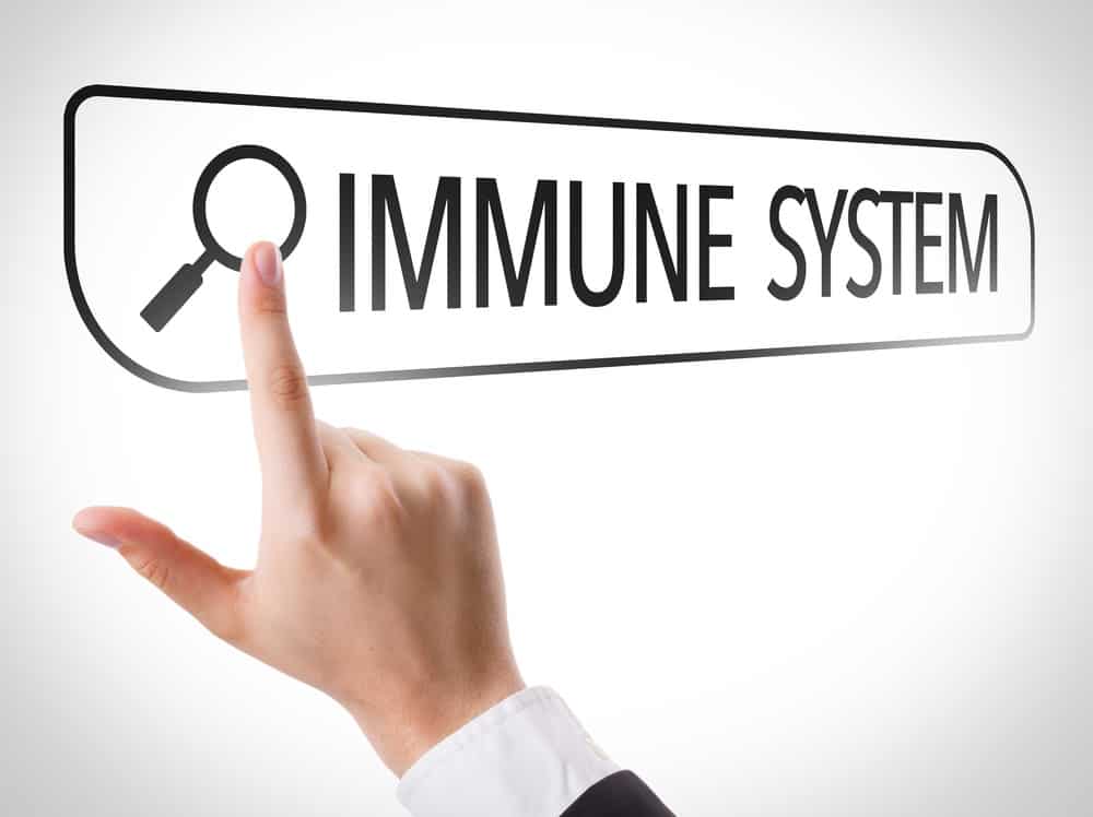 You are currently viewing Top 5 Nutrients to Support Your Immune System (During Cold and Flu Season)
