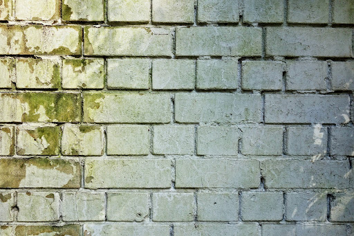 mold-brick-wall