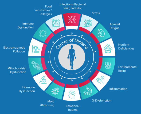 Functional Medicine-Wheel