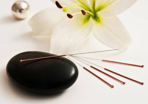 Acupuncture needles and a flower