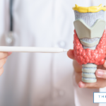 How Thyroid Health Influences Your Overall Well-being