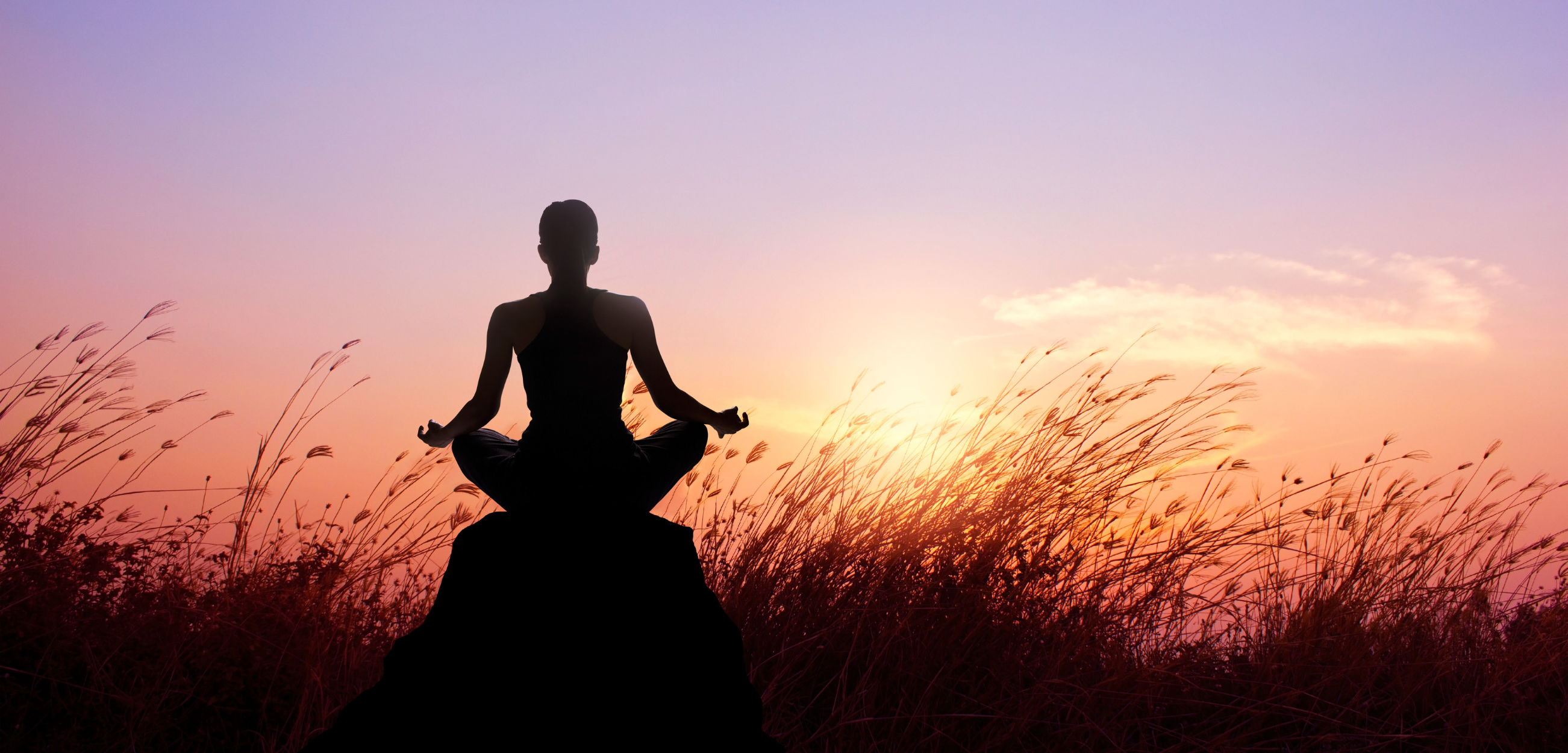 Read more about the article Discover Mindfulness And Meditation’s Effect On Physical Health