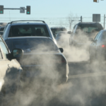 Understanding Environmental Toxins and How to Avoid Them