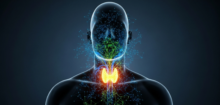 Read more about the article Top 5 Foods That Silently Wreck Your Metabolism