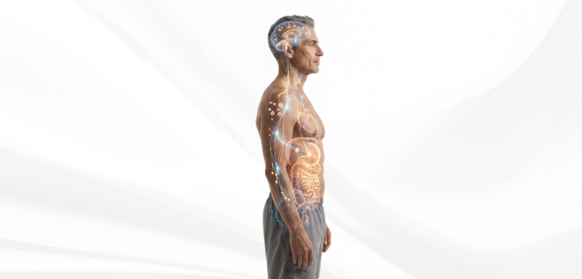 You are currently viewing Why Gut Health Influences Almost Every System in Your Body