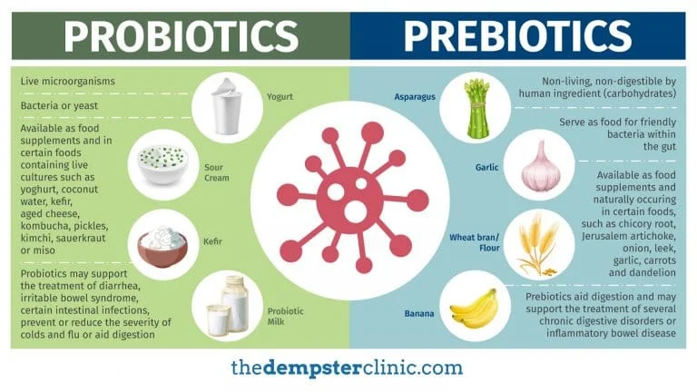 Prebiotics vs Probiotics