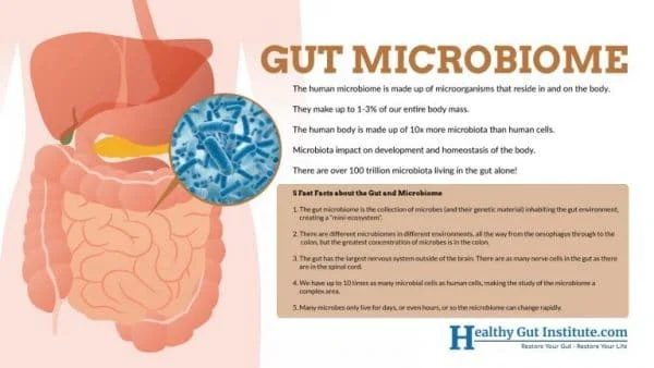 Gut Microbiome