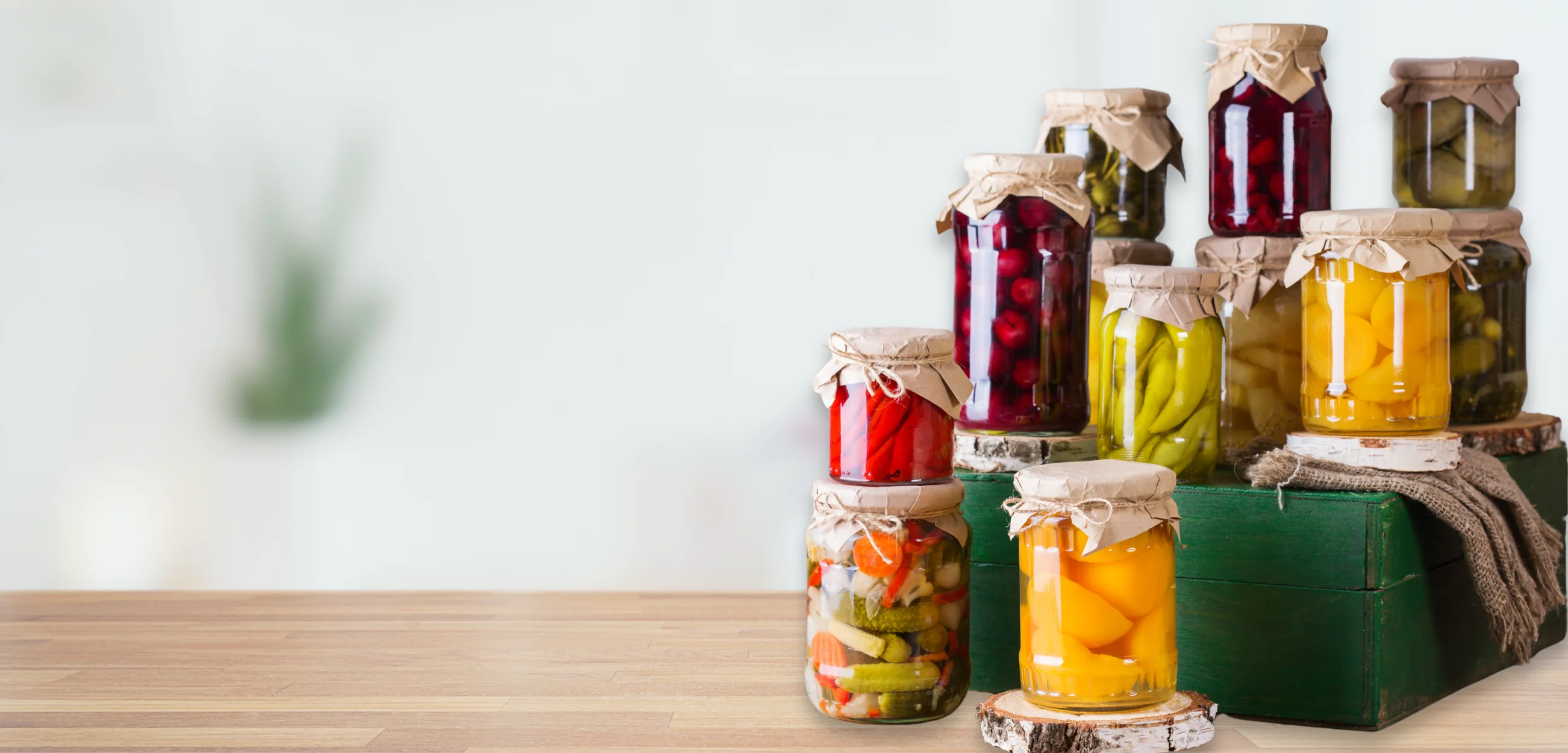 Read more about the article Best Gut Foods That Outperform Fiber