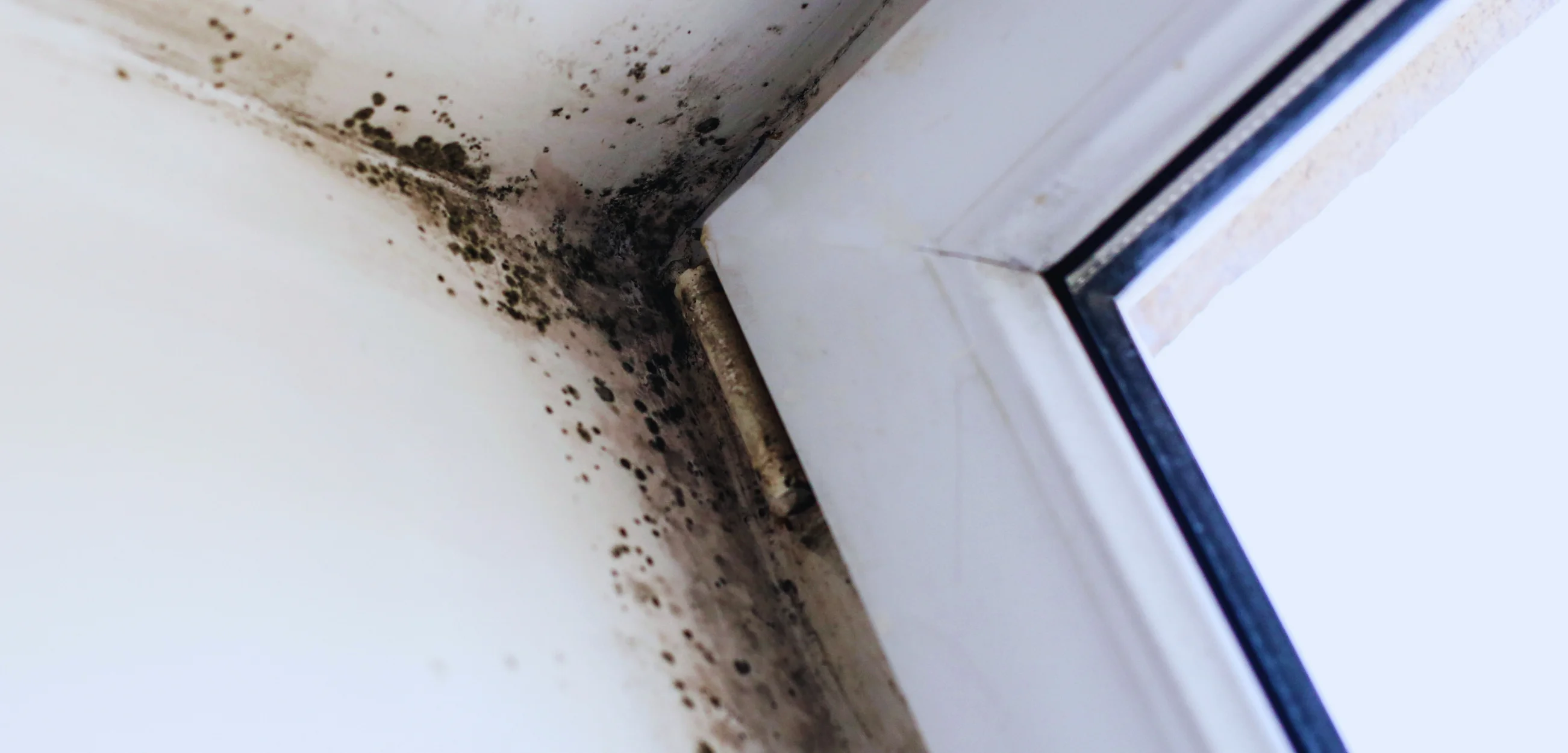 Read more about the article Are You Living in a Toxic Soup?